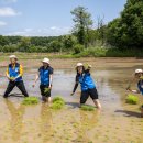 남북통합문화센터 이미지