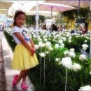 큐(Q)호텔 이미지