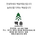 윤보선로 이미지