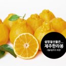 야베스농장 이미지