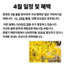 명리한약국 이미지