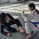 수원-1083 | 수원 뉴웨이브 주짓수 곡반 점심부 클래스 개설 취미 성인부 점심부 수업 후기