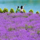 군산문화오픈박스(주) 이미지
