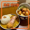 가라아게야 | 안산 텐동 맛집 온센 가라아게텐동, 부타카츠카레 후기