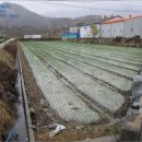 안의농협주유소 이미지