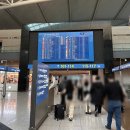 인천공항 셔틀트레인 탑승동 스카이 허브 라운지 REX카드 더라운지 사용 후기