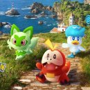 뽑아지트 이미지