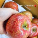 대성야채;과일 이미지