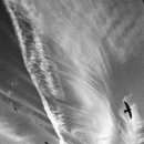 하늘꽃민박 이미지