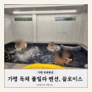 가평 끌로이스 풀빌라 독채펜션 | 내돈내산 가평 끌로이스 풀빌라 독채펜션 B동 후기, 센스, 시설 모든게 다 만족스러웠던 곳
