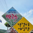 박경리 메밀향 이미지
