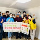 도배나라 이미지