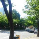 유선헤어코디