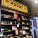 지안안경 이미지