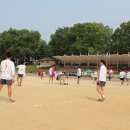 서초구청 이미지