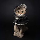 석촌고분역 이미지