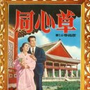 동심초 티스토리