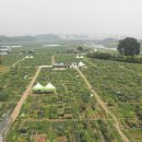 파주농장 이미지