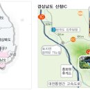 여우향기 이미지
