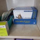 제일가축병원 이미지