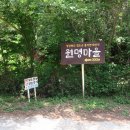 수월리(하수월) 경로당 | 비슬산 둘레길 제5구간(2)