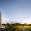 새(금호) 이미지