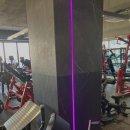 모조 피트니스 네이버블로그