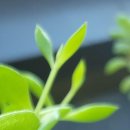 류내과의원 이미지