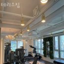 테리스짐