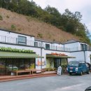 새숨생기방
