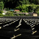 삼포마을 이미지