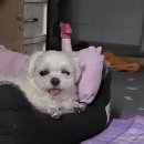 콩이네민박 이미지