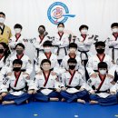 박사태권도 이미지