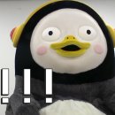 플로르연