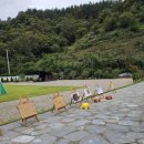 대암 팜트리 이미지