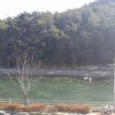 씨유민박 이미지