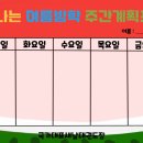 국가대표 새날 태권도장 이미지