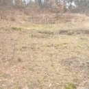 서구-02-23 이미지