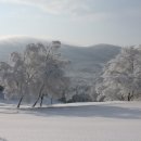 천지목장 이미지