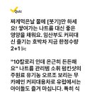 231122 캐시워크 - 소휘 펌킨샷 이미지