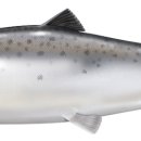 진성헬스케어 이미지