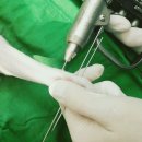 전동물병원 이미지