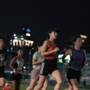 바디메카닉스
