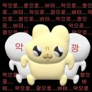 돈앤돈족발보쌈 이미지