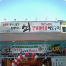 오거리고기선생 Daum카페