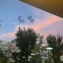 투썸플레이스~화룡 | 투썸플레이스 추천 메뉴, 케이크추천, 할인 방법
