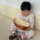 수원-1149 | 수원 스타필드 빵집 본누벨 14개월 아기랑 후기