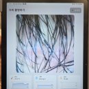미호클린 | 용산아이파크몰 이가자헤어비스 헤드스파 두피 관리 후기