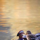 원앙파크 이미지