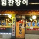 힘찬장어 이미지